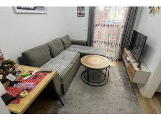 Apartament me Qera 1+1 tek Ali Demi (ID B2101434) Tirane