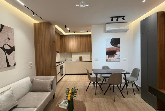 apartament-me-qera-11-tek-zogu-i-zi-id-qeraqera-big-0