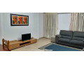 apartament-me-qera-11-ne-qender-id-b2101451-tirane-small-0