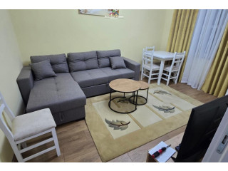 Apartament Me Qera 1+1 Tek Sheshi Willson (ID B211413) Tirane