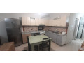 jepet-me-qera-apartament-21-prane-sheshit-willson-id-b220610-tirane-small-1