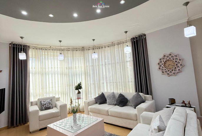 vile-me-qera-21-tek-rruga-e-elbasanit-id-bv22565-tirane-big-0