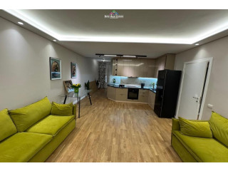 Apartament Me Qera 1+1 Tek Kopshti Botanik (ID B2101481) Tirane
