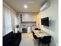 garsoniere-me-qera-tek-rruga-dritan-hoxha-id-bg165-tirane-small-0