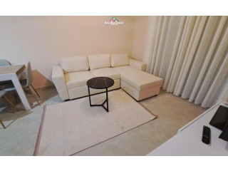 Apartament Me Qera 2+1 Tek Mine Peza (ID B2201734) Tirane