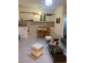 jepet-me-qera-apartament-11-tek-bulevardi-zogu-i-pare-id-b210491-tirane-small-1