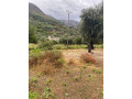 shiten-1000-m2-toke-ne-borsh-sarande-small-2