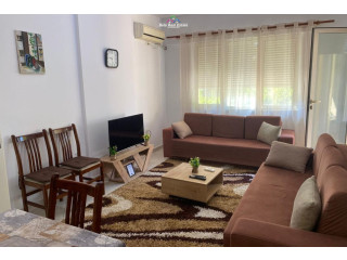 Apartament Me Qera 1+1 tek Liqeni i Thate ( ID B2101509) Tirane