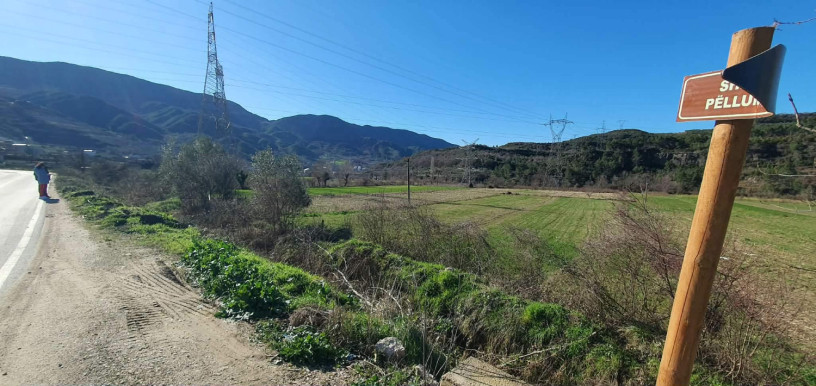 toke-ne-shitje-1400-m2-ibe-e-poshtme-tirane-big-3