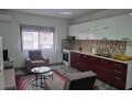 apartament-me-qera-21-tek-sheshi-willson-id-b221407-tirane-small-0