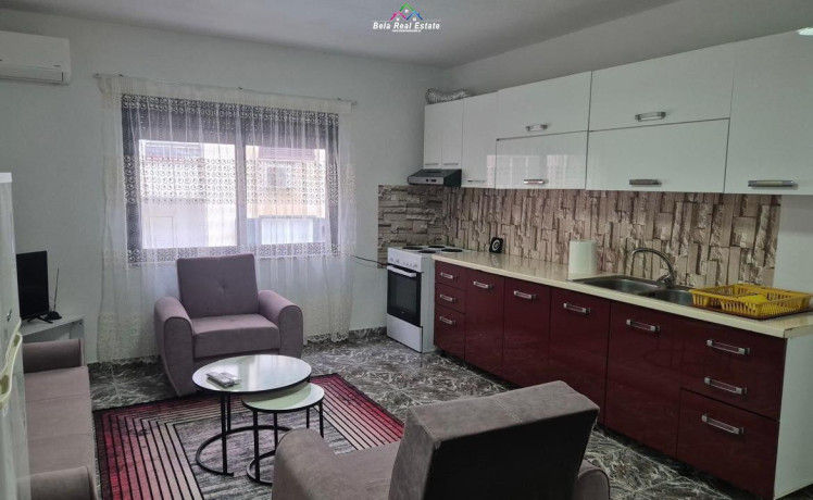 apartament-me-qera-21-tek-sheshi-willson-id-b221407-tirane-big-0