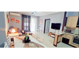 Jepet Me Qera Apartament 1+1 Ne Yzberisht (ID B210497) Tirane