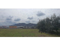 shitet-10-000-m2-toke-ne-vore-tirane-durres-small-3
