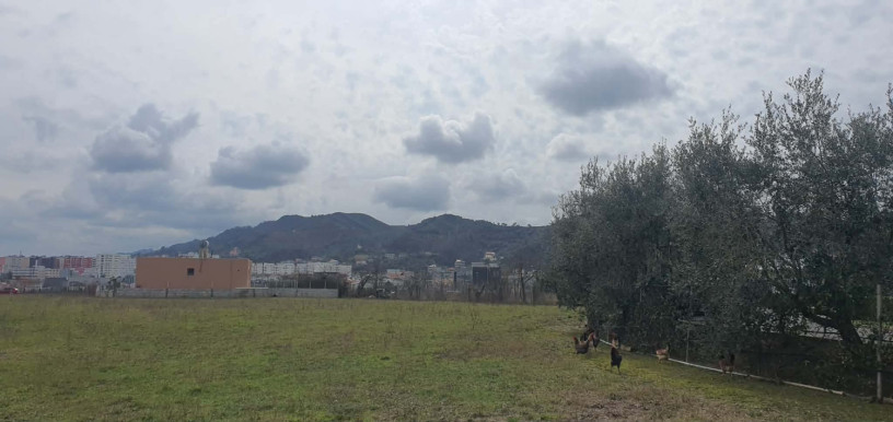 shitet-10-000-m2-toke-ne-vore-tirane-durres-big-3