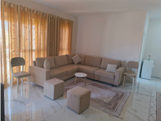 Apartament Me Qera 1+1 Ne 5 Maj ( ID B2101524) Tirane