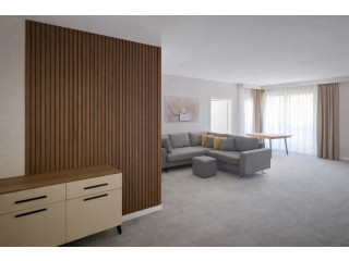 Apartament Me Qera 1+1 Tek Dritan Hoxha ( ID B2101530) Tirane