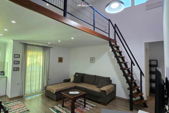 vile-dublex-21-me-qera-tek-rruga-e-durresit-id-bv22584-tirane-big-0