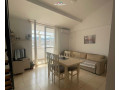 apartamentduplex-me-qera-21-tek-komuna-e-parisit-id-b2201777-tirane-small-0