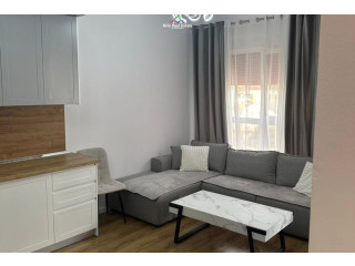 Apartament Me Qera 1+1 Ne Ali Dem (ID B2101540) Tirane