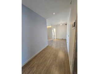 Zyre Me Qera Tek Zogu i Zi ( ID BZ2845) Tirane