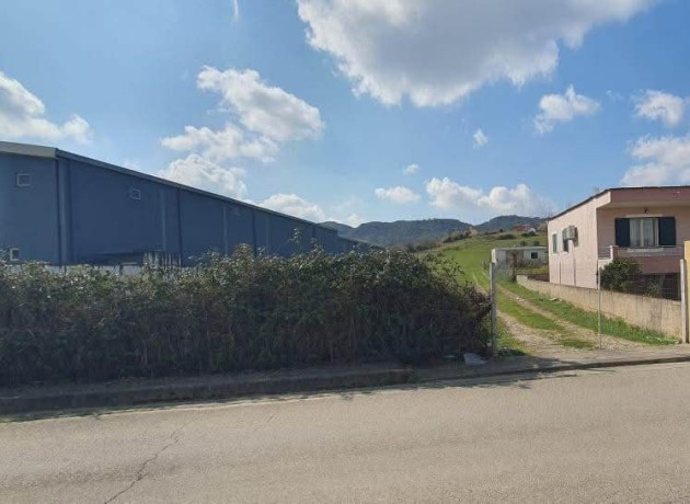 shitet-truall-1760-m2-vore-big-3