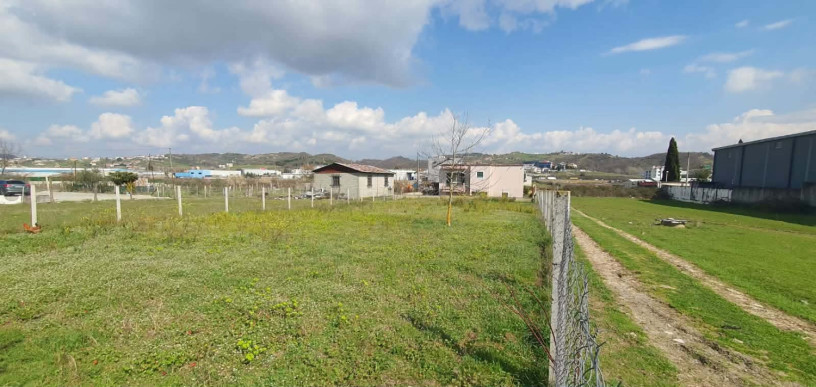 shitet-truall-1760-m2-vore-big-2