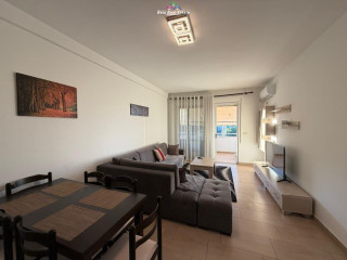 Apartament Me Qera 1+1 Tek Kopshti Botanik (ID B2101548) Tirane