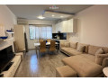 apartament-me-qera-11-tek-brryli-id-b2101549-tirane-small-0