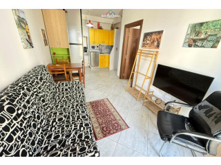 Apartament Me Qera 1+1 Tek Rruga e Elbasanit ( ID B2101563) Tirane