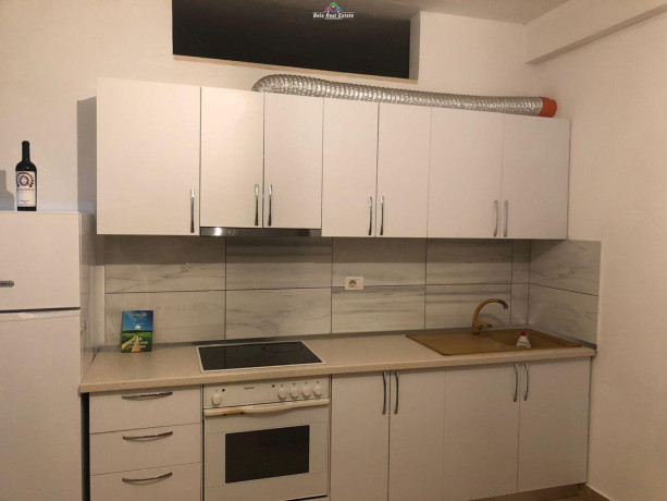 jepet-me-qera-apartament-21-te-liqeni-i-thate-id-b220617-tirane-big-1