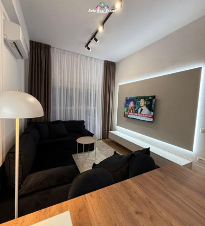 apartament-me-qera-11-tek-ali-demi-id-qeraaaaaidididi-qeraaaa-big-0