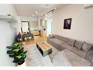 Apartament Me Qera 1+1 tek Mine Peza (ID B2101568) Tirane