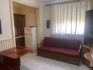 Apartament Me Qera 2+1 Tek Mine Peza (ID B221179) Tirane