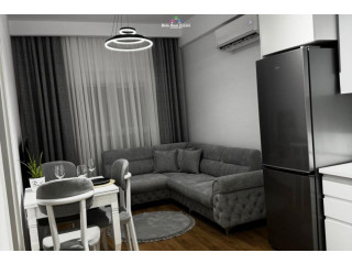 Apartament me Qera 1+1 tek Ali Demi (ID B2101579) Tirane