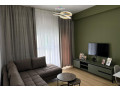 apartament-me-qera-11-tek-ali-demi-id-b2101580-tirane-small-0
