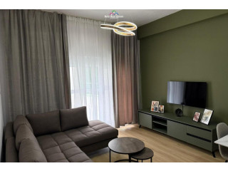Apartament me Qera 1+1 tek Ali Demi ( ID B2101580) Tirane