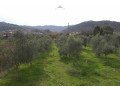 shitet-toke-ullishte-ne-ndroq-id-bt46-tirane-small-0