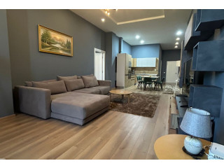 Apartament Me Qera 1+1 Tek Liqeni i Thate (ID B210648) Tirane.