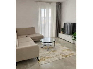 Apartament ne Shitje 2+1 Ne Paskuqan ( ID B120826) Tirane