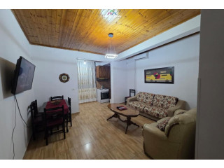 Vile me qera 1+1 ne Porcelan (ID BV22596) Tirane