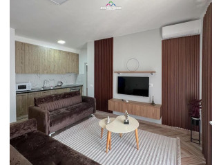 Apartament Me Qera 2+1 Tek 5 Maji (ID B2201821) Tirane