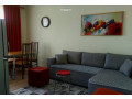 apartament-me-qera-11-ne-ali-dem-id-b211441-tirane-small-0