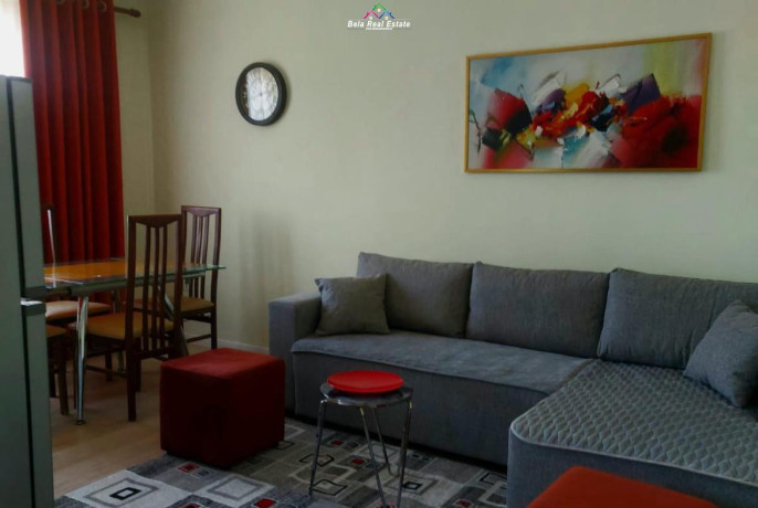 apartament-me-qera-11-ne-ali-dem-id-b211441-tirane-big-0