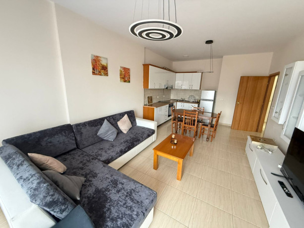 apartament-me-qera-11-tek-rruga-e-elbasanit-id-qeraqeraqeaqeraididididid-big-0