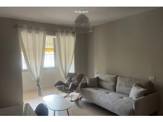 Apartament Me Qera 1+1 tek Brryli (ID B211443) Tirane