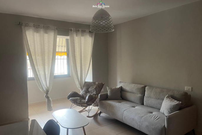 apartament-me-qera-11-tek-brryli-id-b211443-tirane-big-0