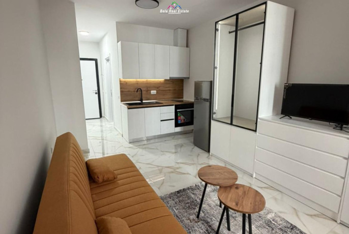 garsoniere-me-qera-tek-rruga-dritan-hoxha-id-bg170-tirane-big-0