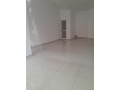 jepet-me-qera-dyqan-perballe-martenitetit-te-ri-id-bd21449-tirane-small-1