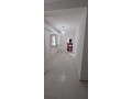 apartament-me-qera-31-tek-xhamlliku-id-b23133-tirane-small-0