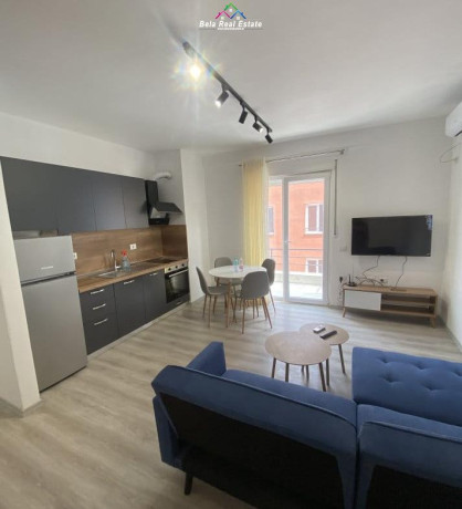 apartament-me-qera-11-ne-selite-id-qeraqeraqeraidididiid-big-0